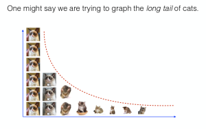 One might say we are trying to graph the long tail of cats.